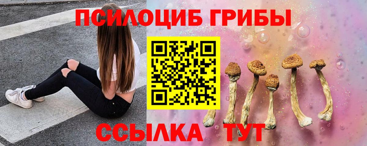 Галлюциногенные грибы MAGIC MUSHROOMS Карпинск