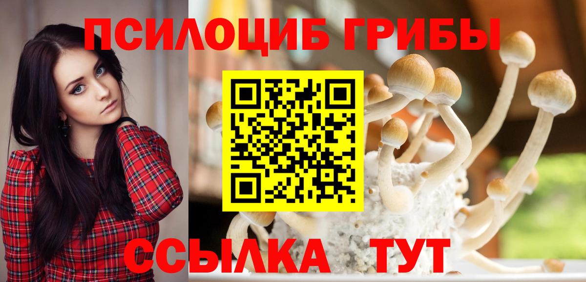 наркошоп  Галлюциногенные грибы Magic Shrooms  Вход с VPN  Галлюциногенные грибы MAGIC MUSHROOMS  Карпинск 